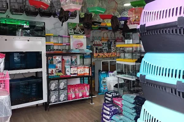 Efsane Akvaryum Pet Shop - Resim 20