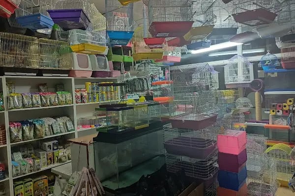 Efsane Akvaryum Pet Shop - Resim 13