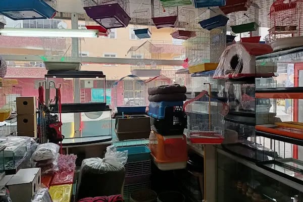 Efsane Akvaryum Pet Shop - Resim 16