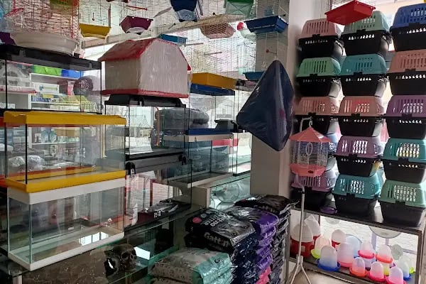 Efsane Akvaryum Pet Shop - Resim 19