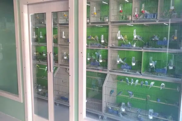 SHOW Pet Shop - Resim 5