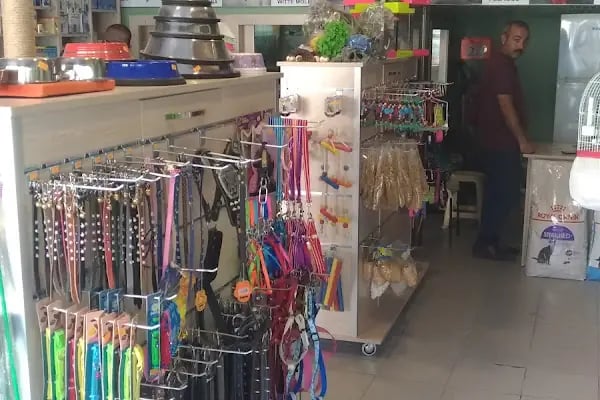 SHOW Pet Shop - Resim 2