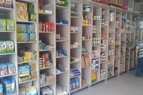 SHOW Pet Shop - Resim 4