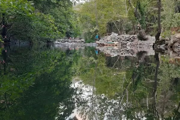 Acar Kamp Kaz Dağları - Resim 10