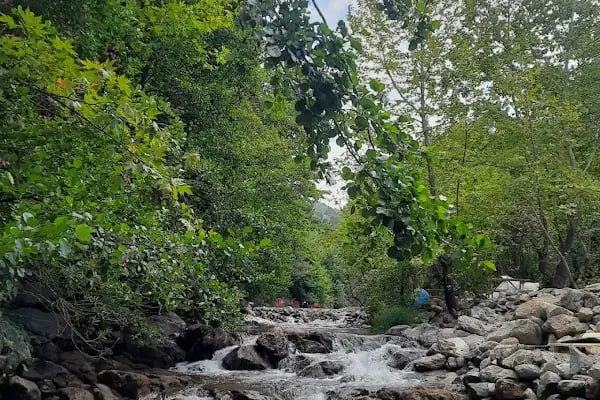 Acar Kamp Kaz Dağları - Resim 4