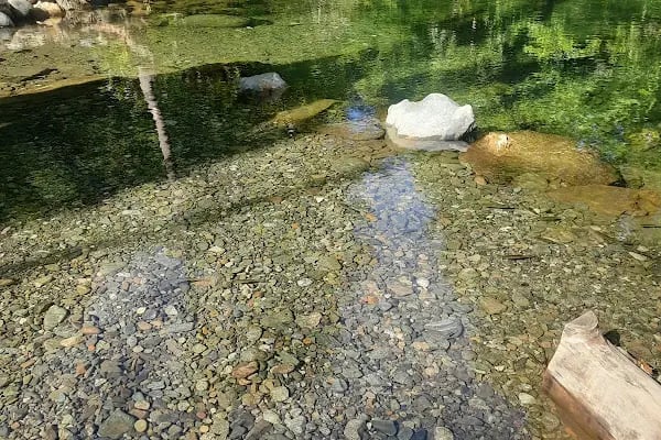 Acar Kamp Kaz Dağları - Resim 18
