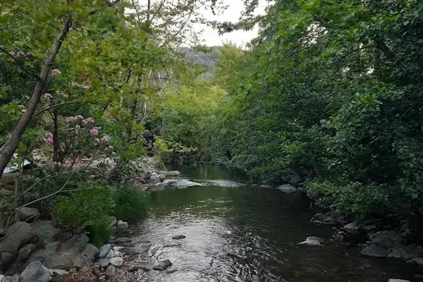 Acar Kamp Kaz Dağları - Resim 2