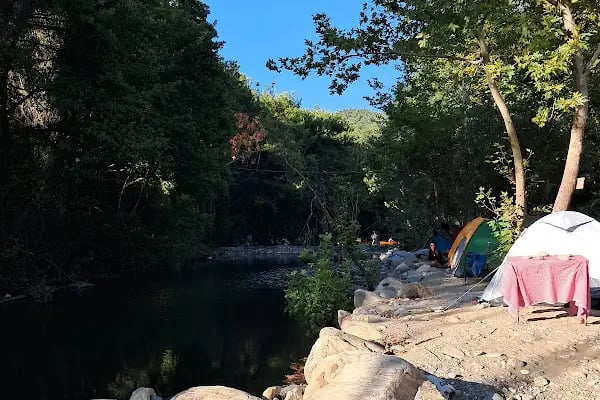 Acar Kamp Kaz Dağları - Resim 5