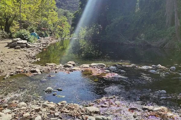 Acar Kamp Kaz Dağları - Resim 13