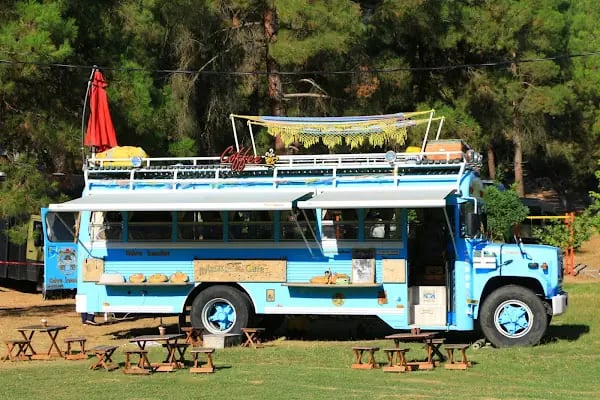 Karagöz Piknik Alanı - Resim 7