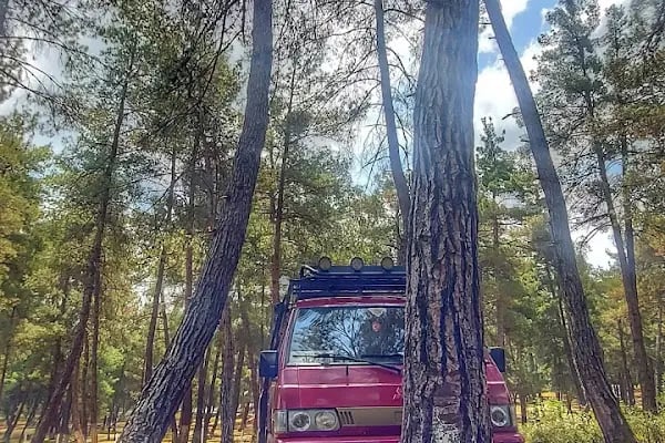 Karagöz Piknik Alanı - Resim 20
