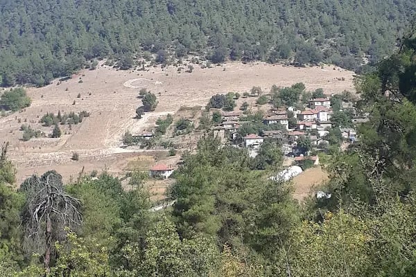 Karagöz Piknik Alanı - Resim 5