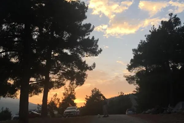 Karagöz Piknik Alanı - Resim 9