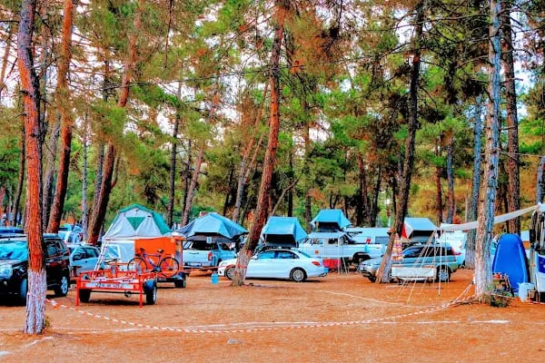 Karagöz Piknik Alanı - Resim 3