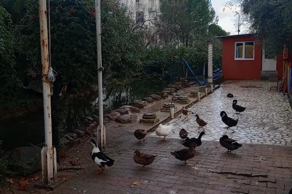 Önce Barış Sitesi - Resim 7