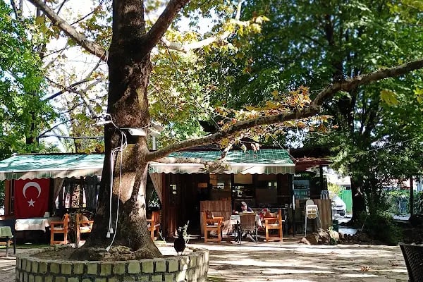 Önce Barış Sitesi - Resim 15