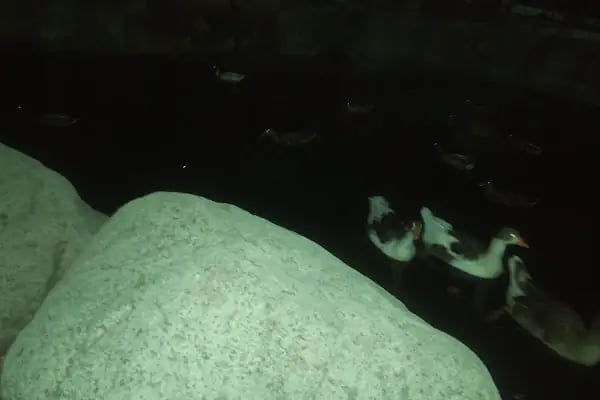 Önce Barış Sitesi - Resim 19