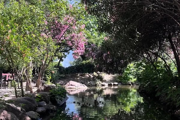 Önce Barış Sitesi - Resim 4