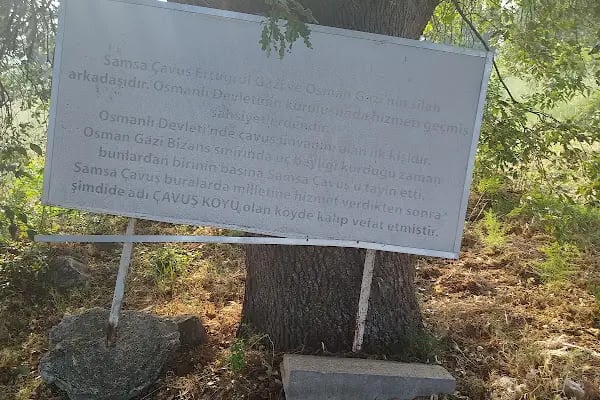SAMSA ÇAVUŞ TÜRBESİ - Resim 4