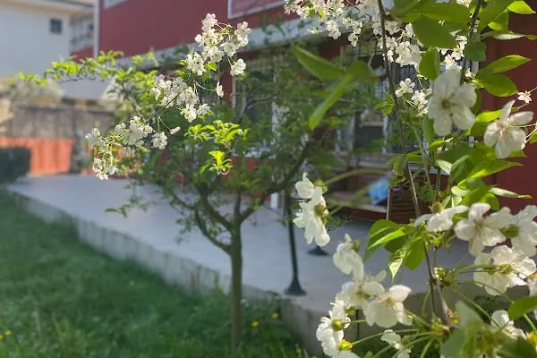 Petika Veteriner Kliniği - Resim 3