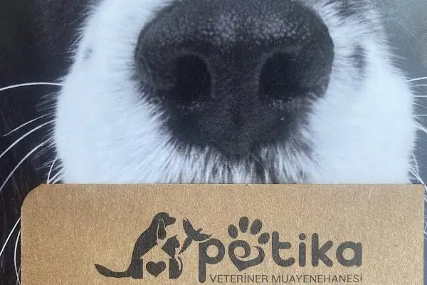 Petika Veteriner Kliniği - Resim 7