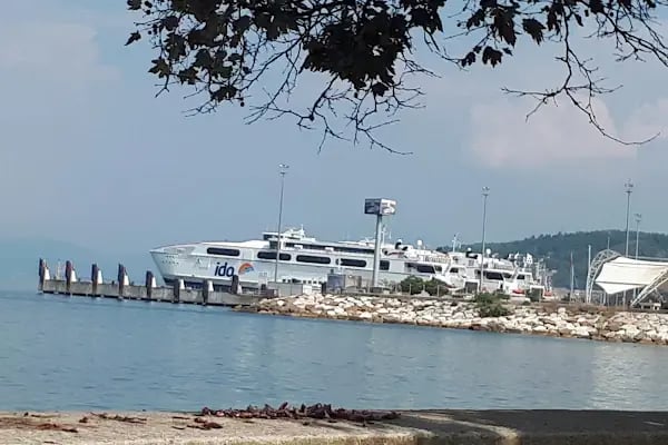 Mudanya Belediyesi Safinaz Parkı - Resim 3