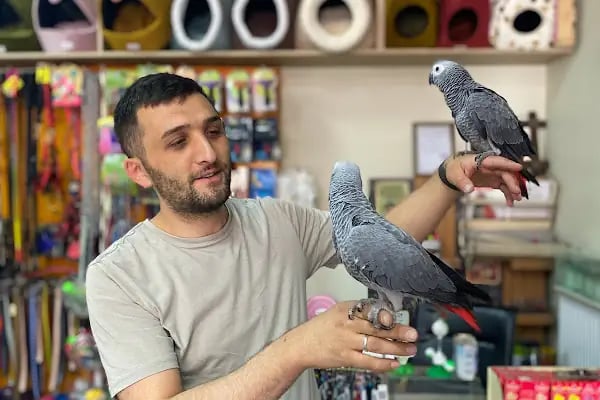 TD Pet Shop - Resim 15