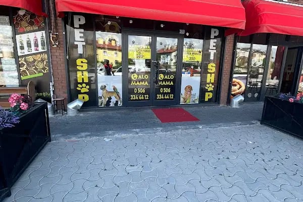 TD Pet Shop - Resim 12
