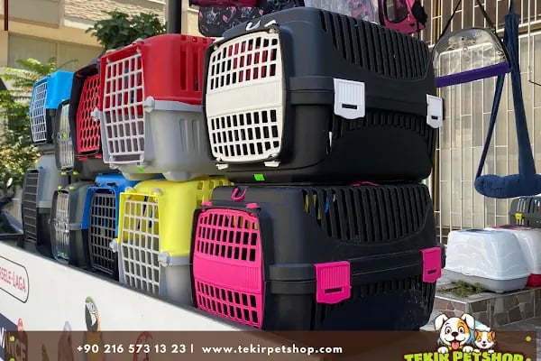 Tekir Petshop - Resim 6