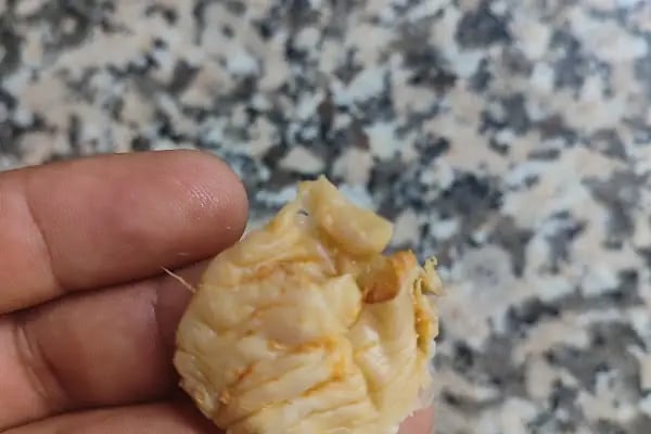 Çetinel Tavukçuluk - Resim 4