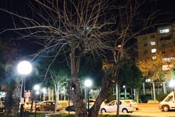 Osman Öksüz Parkı - Resim 17