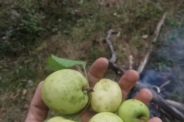 Bahçecik kurtuluş savaşı sioerleri - Resim 16