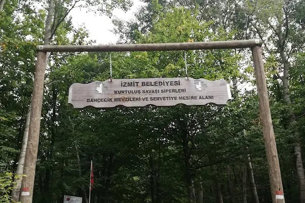 Bahçecik kurtuluş savaşı sioerleri - Resim 4