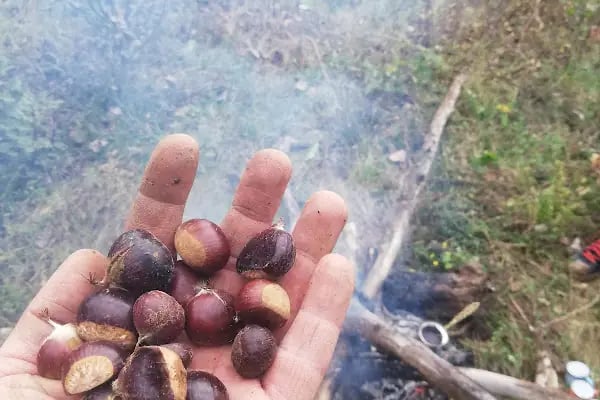 Bahçecik kurtuluş savaşı sioerleri - Resim 2