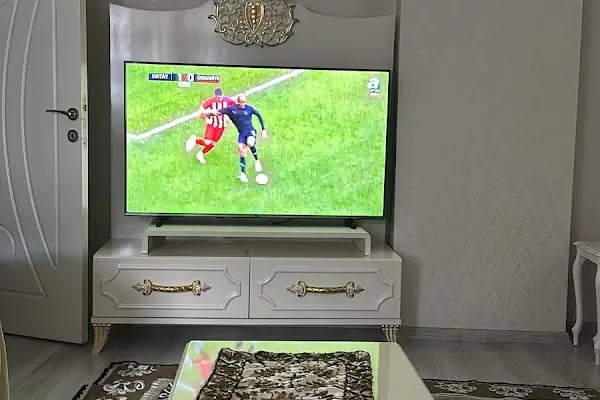 Vestel Yetkili Servisi - Arnavutköy - Venüs Elektronik - Resim 5