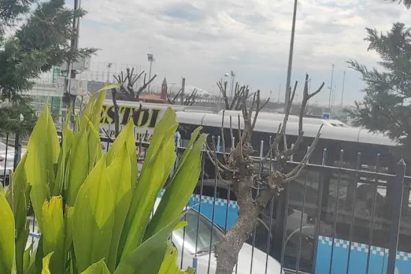 Bizim Ocak Lokanta - Resim 1