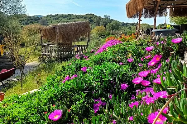 Delice Doğa Evi - Resim 6