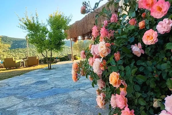 Delice Doğa Evi - Resim 14