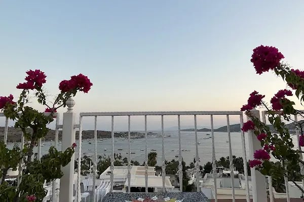 Berg Otel - Resim 15
