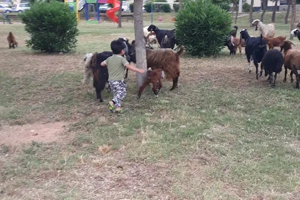 Çocuk Ve Dinlenme Parkı - Resim 12