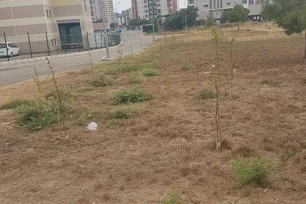 Çocuk Ve Dinlenme Parkı - Resim 6