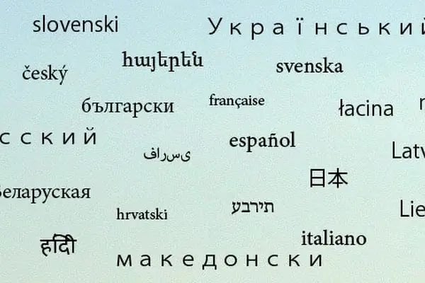 Konsolosluk Yeminli Tercüme Bürosu Konya - Resim 6
