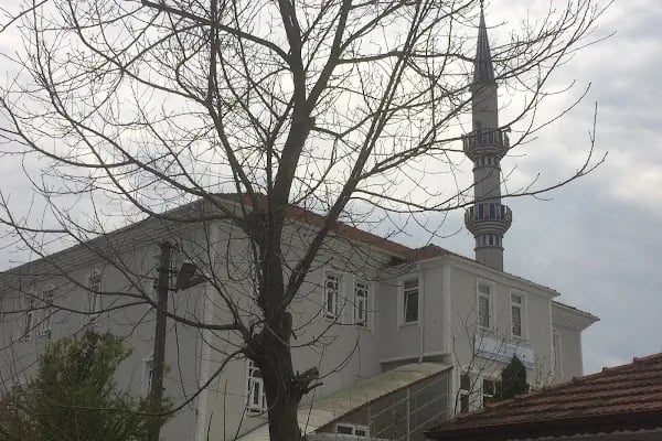 Sıra Cevizler Cami - Resim 9