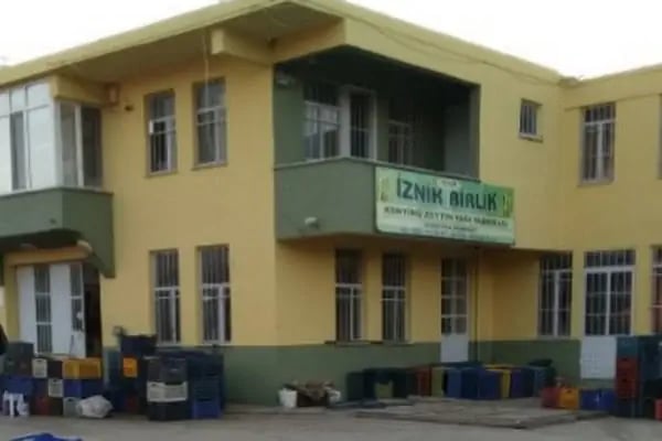 iznik birlik zeytin zeytinyagi - Resim 1