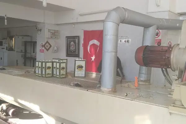 iznik birlik zeytin zeytinyagi - Resim 5