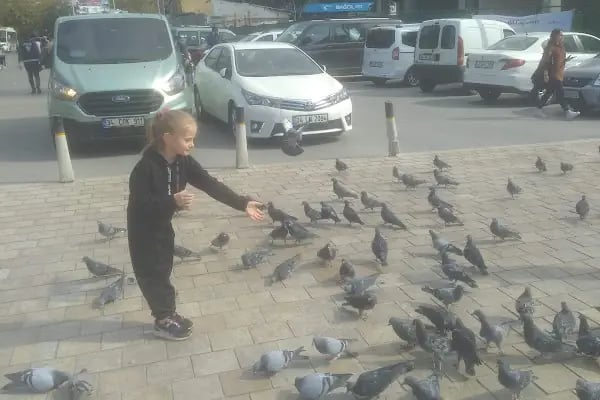 Bağcılar Meydan - Resim 12