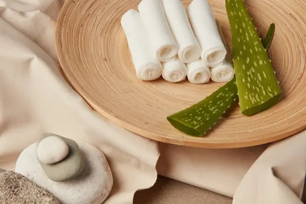 Nora Group International Wet Towel Company - Resim 9