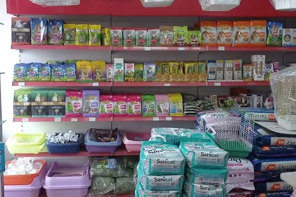 Vizyon Petshop - Resim 12