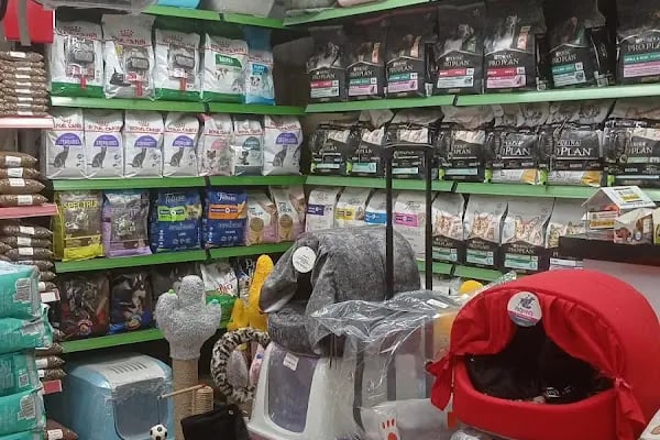 Vizyon Petshop - Resim 4