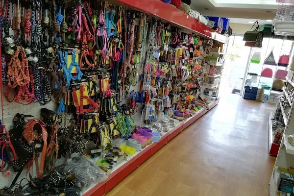 Vizyon Petshop - Resim 3